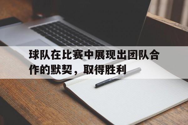 球队在比赛中展现出团队合作的默契，取得胜利